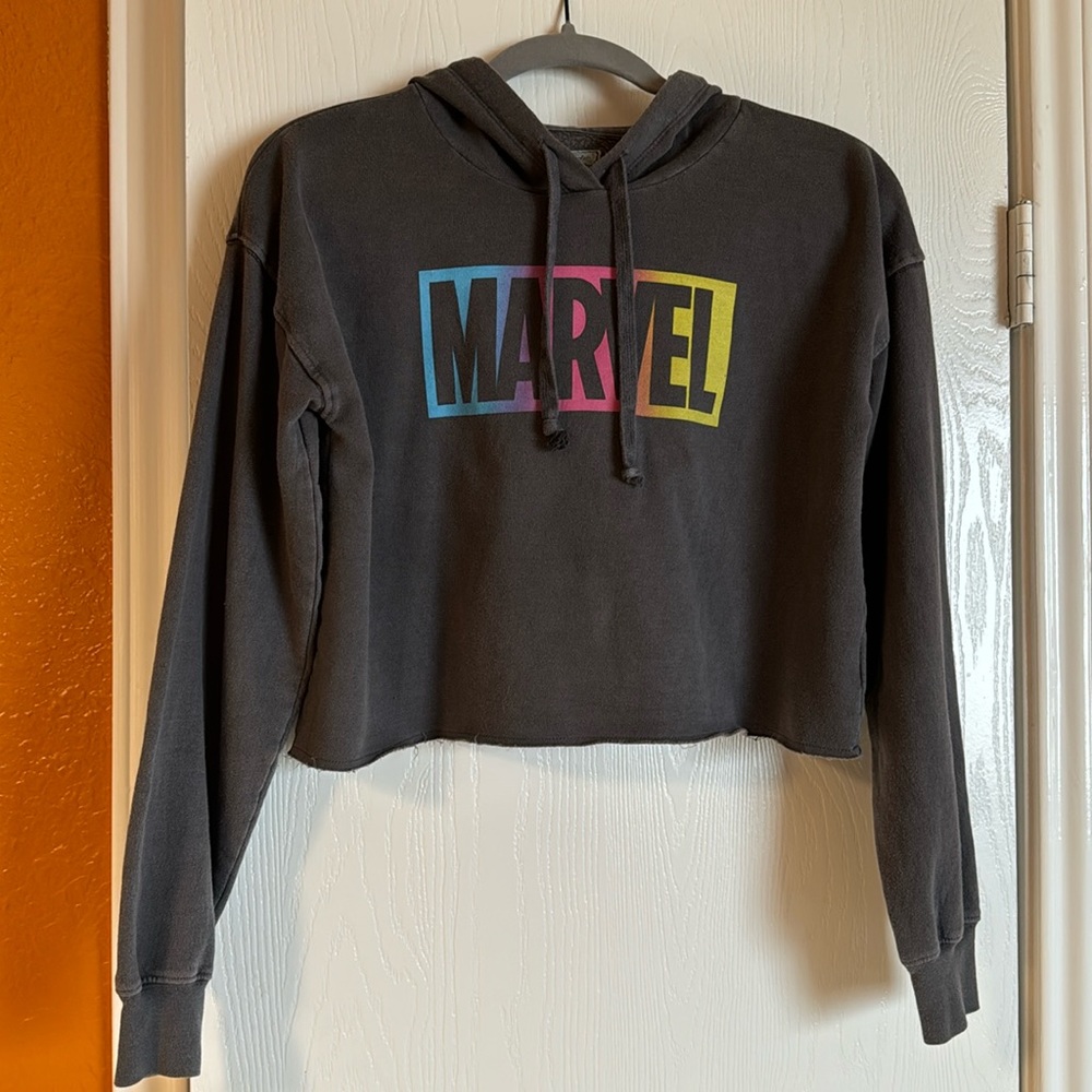 Tailgate Cropped Marvel Sweatshirt Washed Gray, Size XS